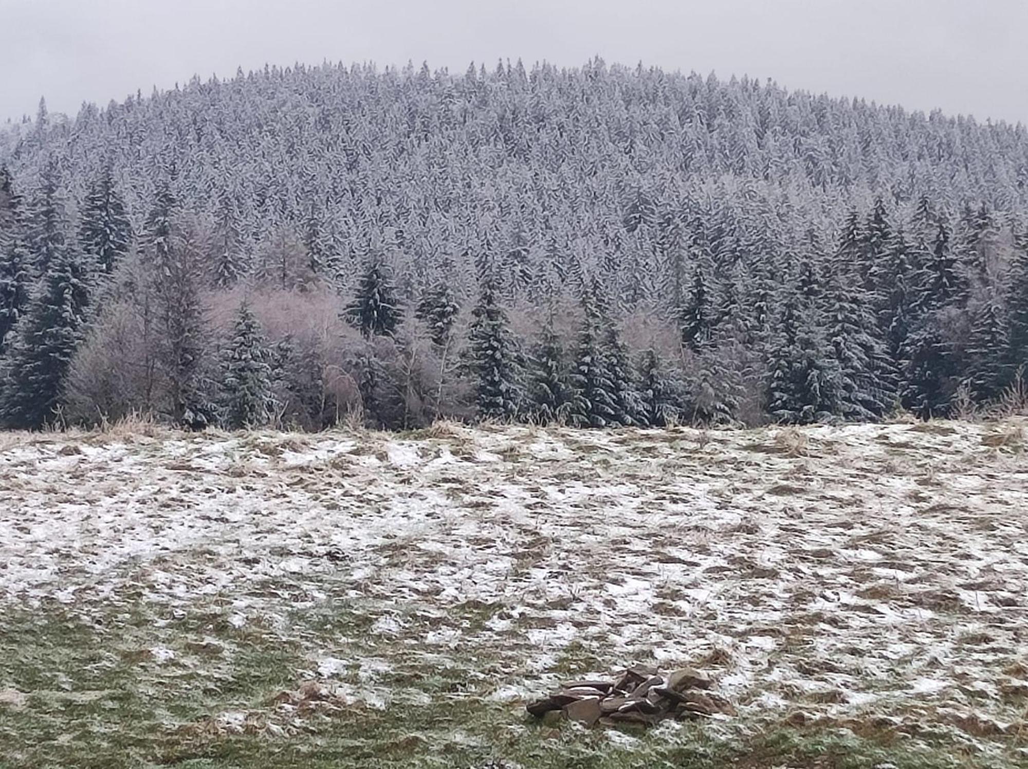 Drewniany Domek Daria I Tomek 2 Domki Na 8 Osob Stronie Śląskie Dış mekan fotoğraf